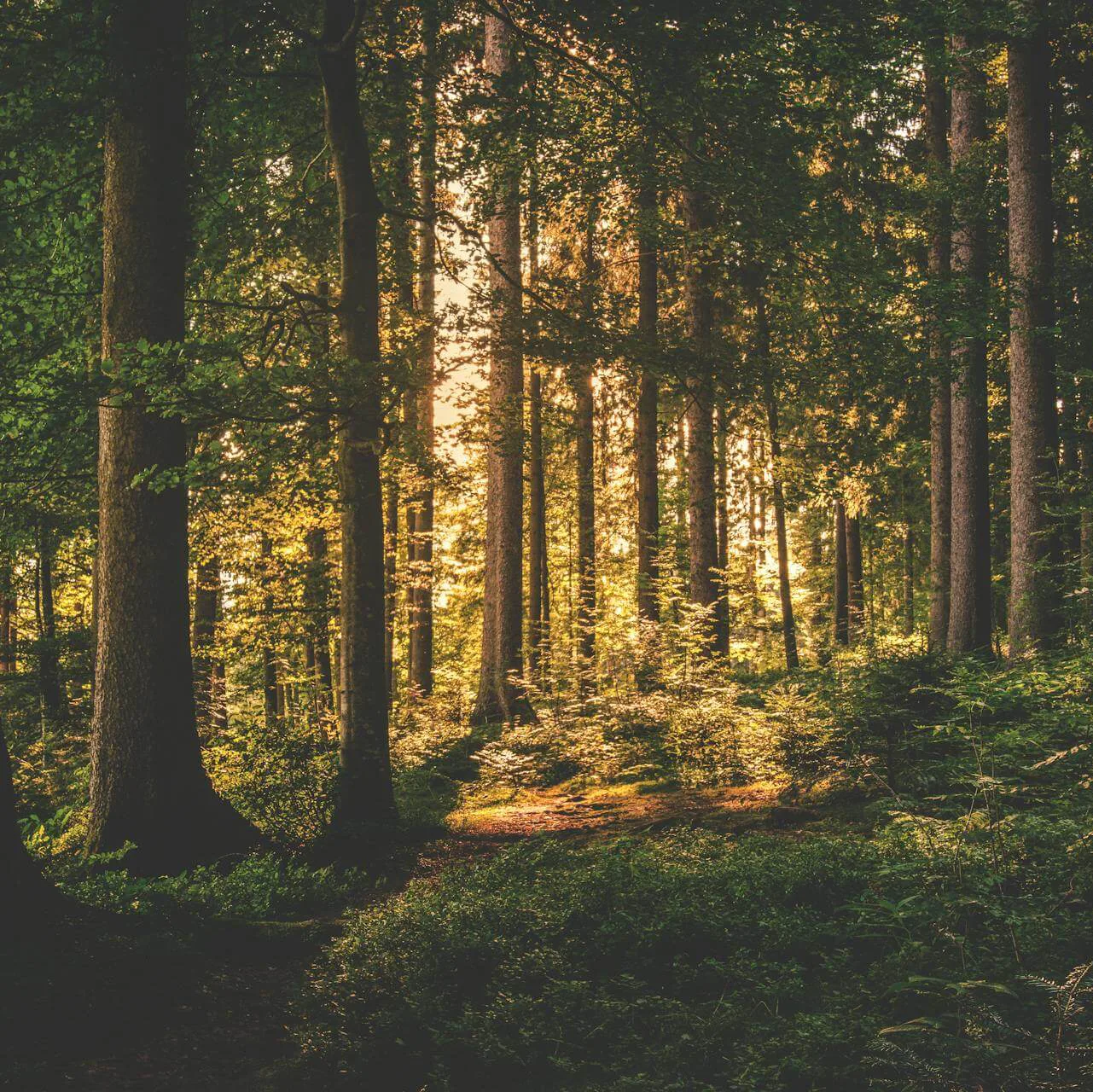 Business Coaching für Gruppen und Teams