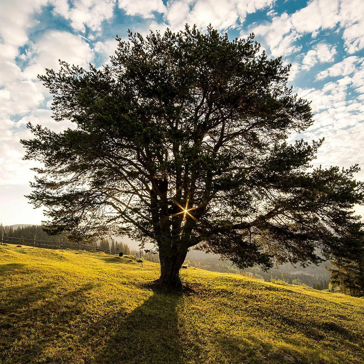 Individuelles 1:1 Business Coaching